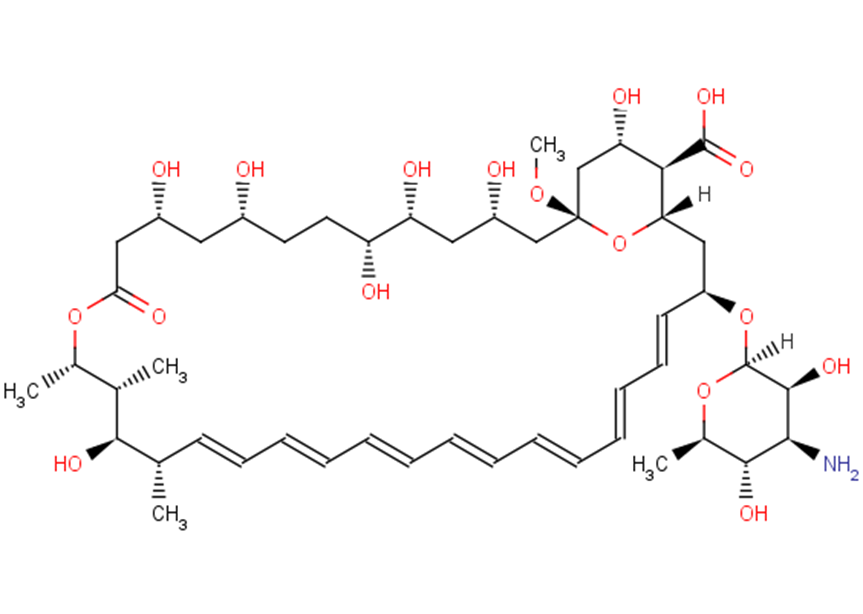 Amphotericin X1 136135-57-4